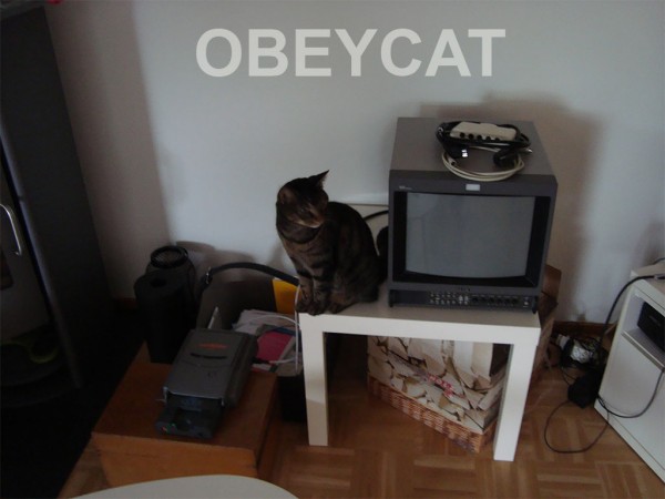 _obeycat2.jpg