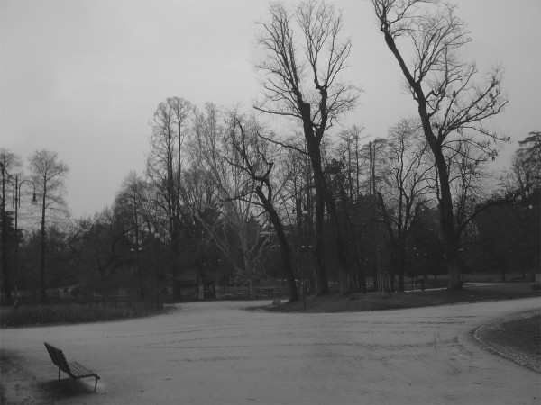 DSC05136es.jpg