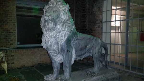 20131018_204121.jpg