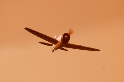 DSC_9933.JPG