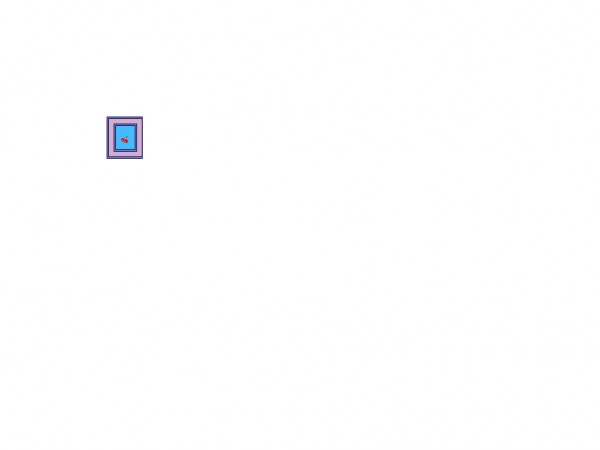 quiz 1.jpg