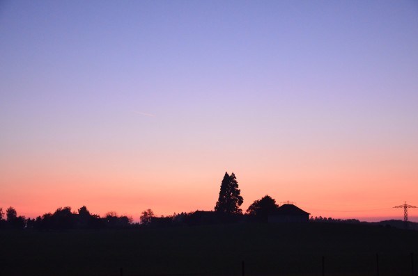 DSC_0202.JPG