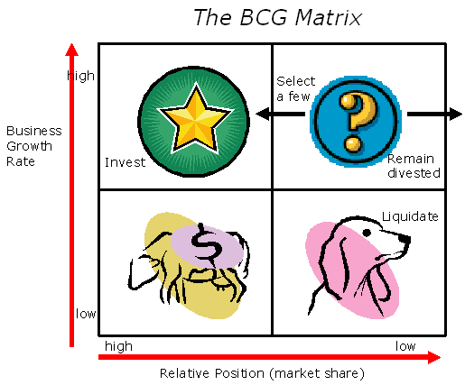 bcg-portfolio.gif