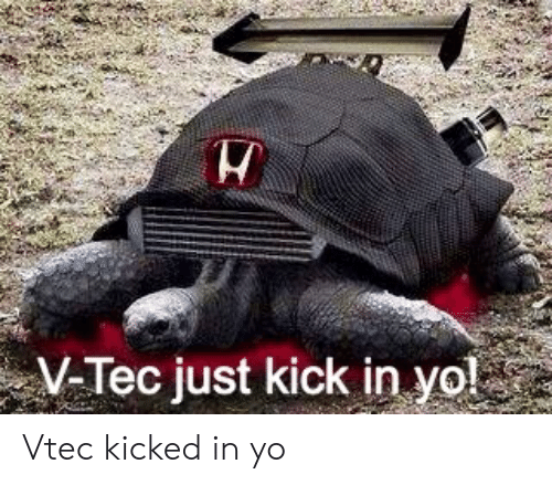 turtle.png