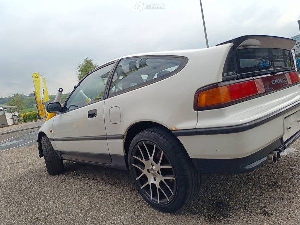 CRX rostiger Koti.jpg